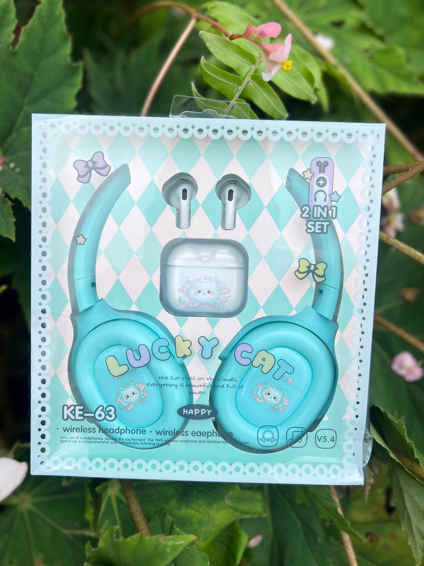 2 in 1 Headphone and Earbuds