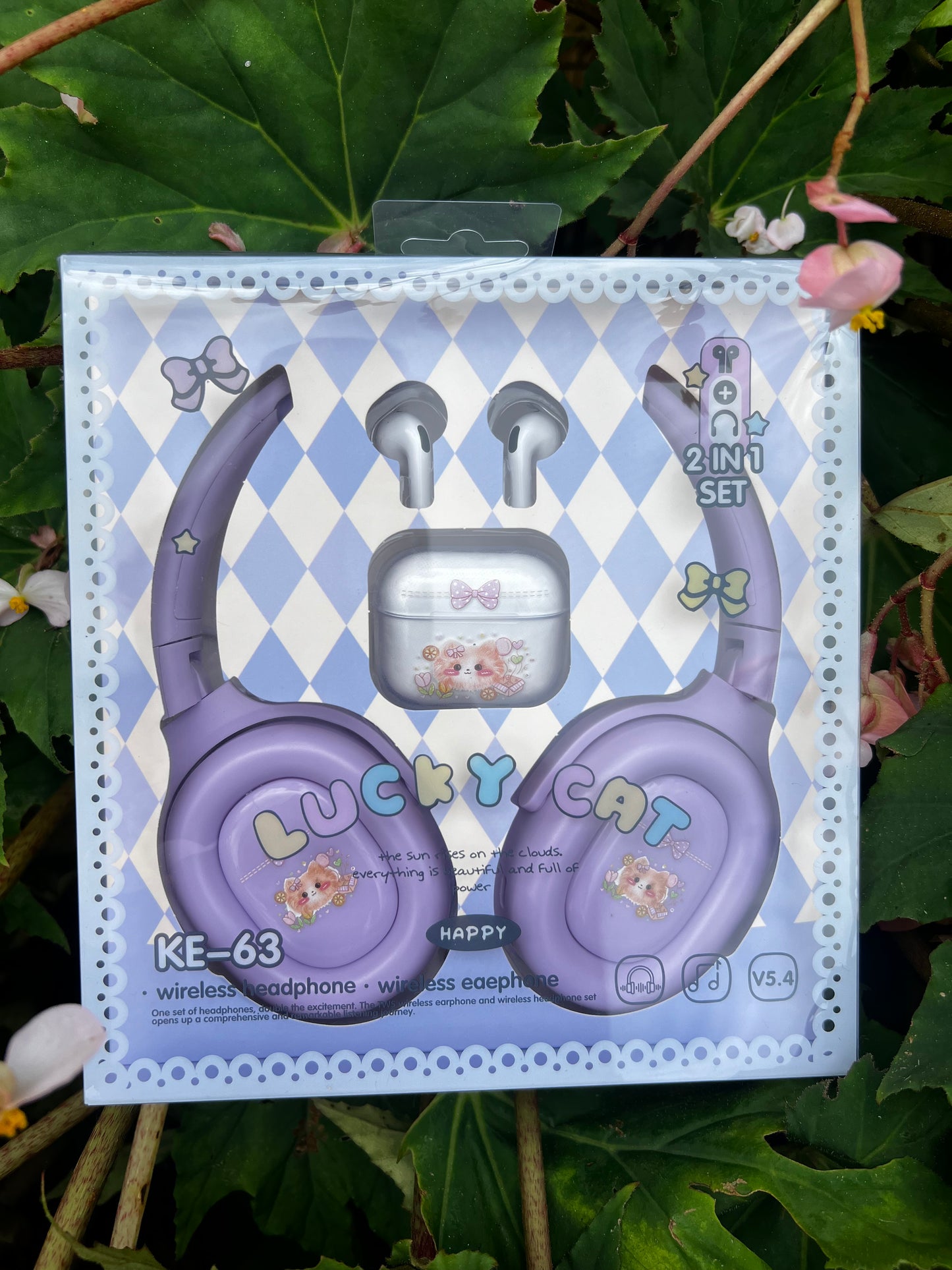 2 in 1 Headphone and Earbuds